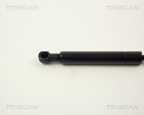 Gas Spring, boot/cargo area