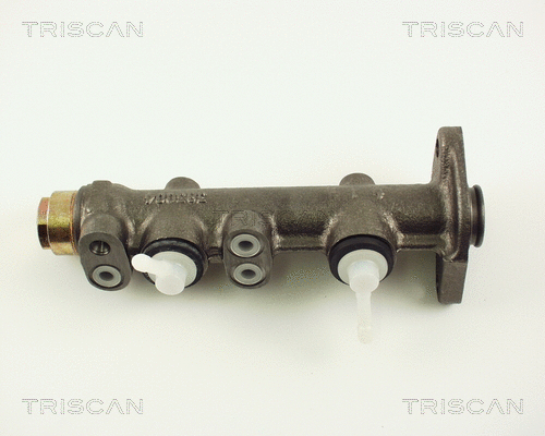 Brake Master Cylinder (8130 15103)