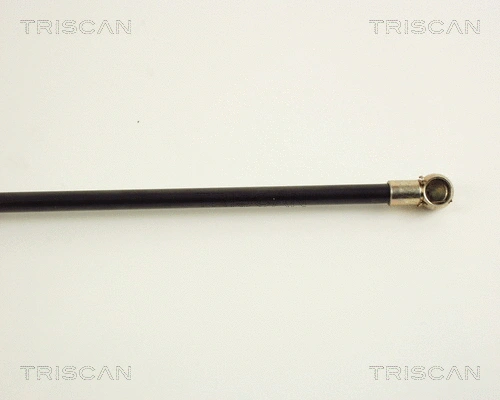 Gas Spring, boot/cargo area