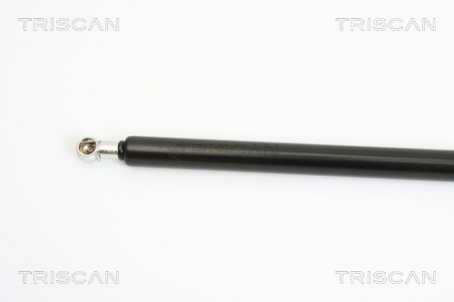 Gas Spring, boot/cargo area