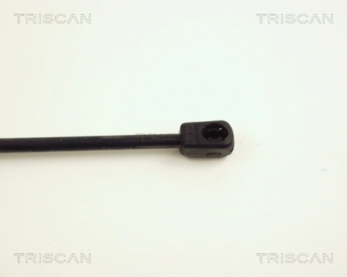 Gas Spring, boot/cargo area
