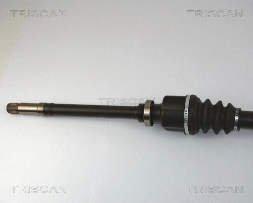 Drive Shaft