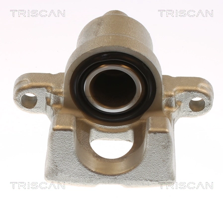 Brake Caliper (8175 13228)