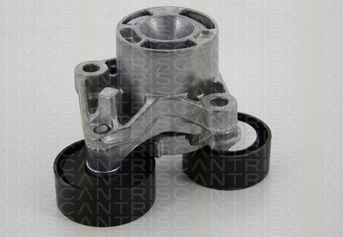 Belt Tensioner, V-ribbed belt (8641 231027)