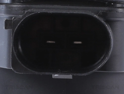 Control Element, parking brake caliper