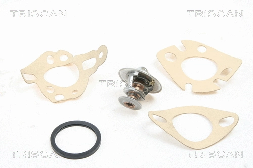Thermostat, coolant (8620 2182)