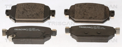 Brake Pad Set, disc brake (8110 50063)