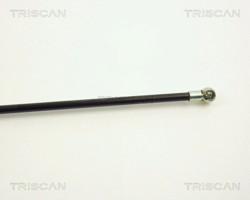 Gas Spring, boot/cargo area