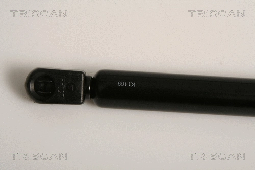 Gas Spring, boot/cargo area