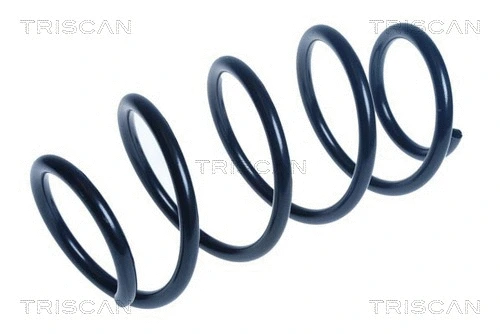 Suspension Spring (8750 14126)