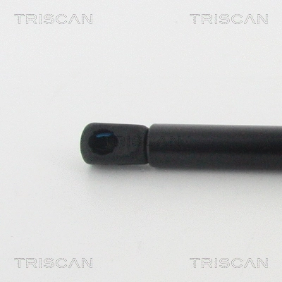 Gas Spring, bonnet