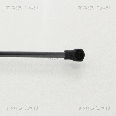 Gas Spring, boot/cargo area