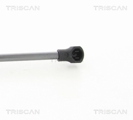 Gas Spring, boot/cargo area