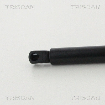 Gas Spring, boot/cargo area