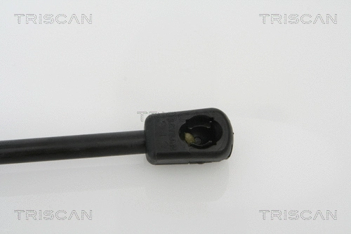 Gas Spring, boot/cargo area