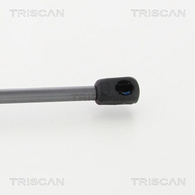 Gas Spring, boot/cargo area