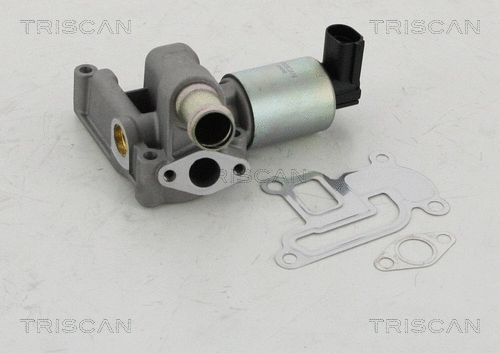 EGR Valve (8813 24003)