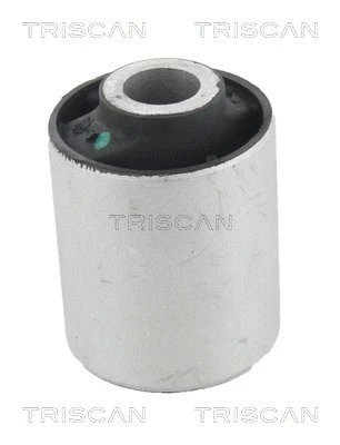 Mounting, control/trailing arm (8500 23892)