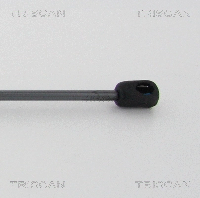 Gas Spring, bonnet