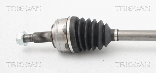 Drive Shaft