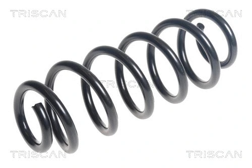 Suspension Spring (8750 29468)