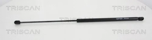 Gas Spring, boot/cargo area (8710 16250)