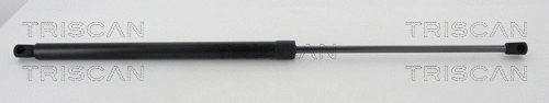 Gas Spring, boot/cargo area (8710 24258)