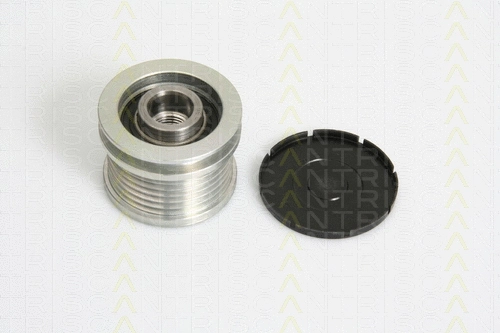Alternator Freewheel Clutch (8641 294013)