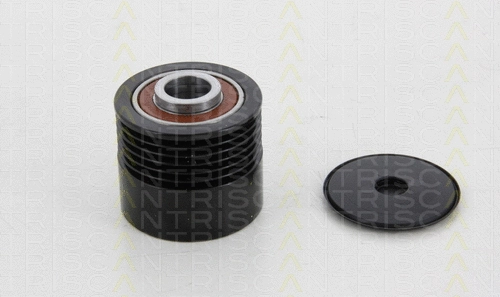 Alternator Freewheel Clutch (8641 154008)