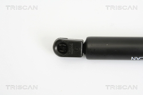 Gas Spring, boot/cargo area