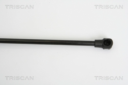 Gas Spring, boot/cargo area