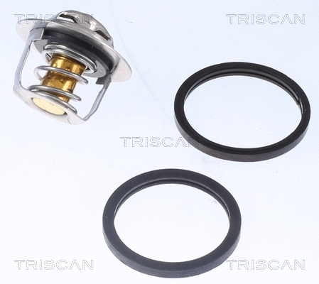Thermostat, coolant (8620 18782)