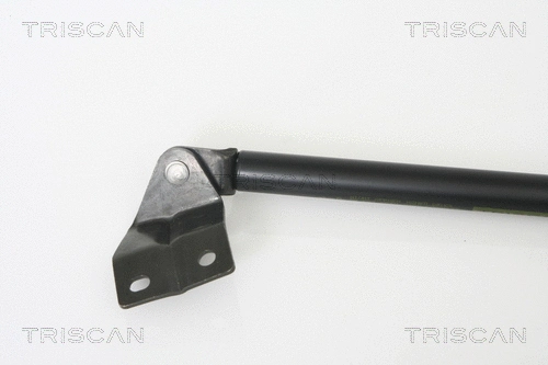 Gas Spring, boot/cargo area