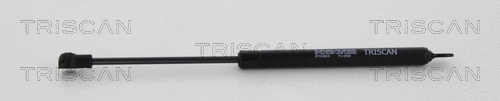 Gas Spring, rear window (8710 38241)