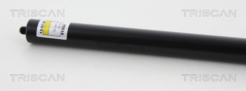 Gas Spring, boot/cargo area