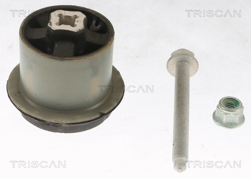 Bushing, axle beam (8500 298080)