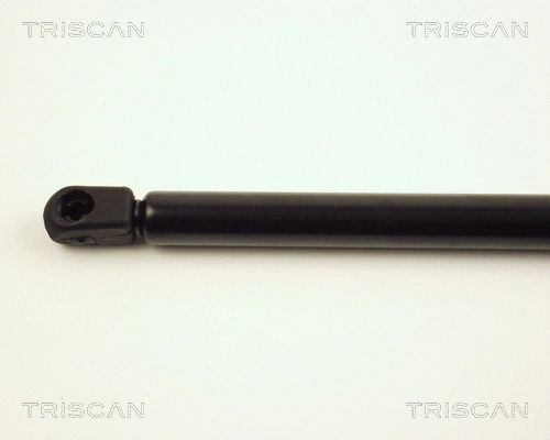 Gas Spring, boot/cargo area