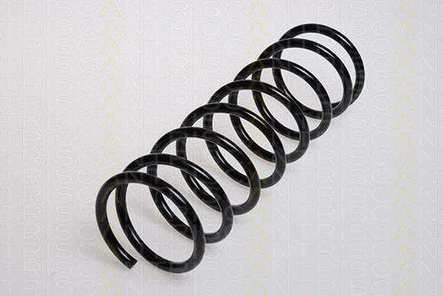 Suspension Spring (8750 16019)