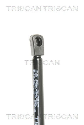 Gas Spring, rear window