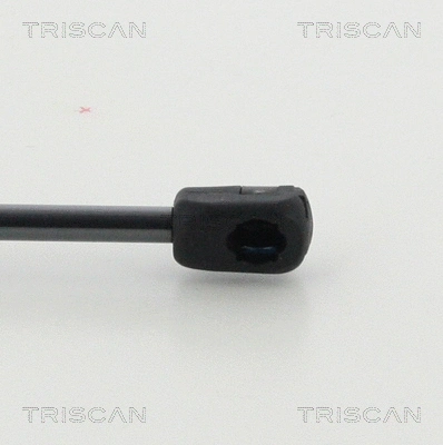 Gas Spring, rear window