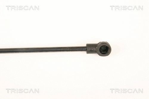 Gas Spring, rear window
