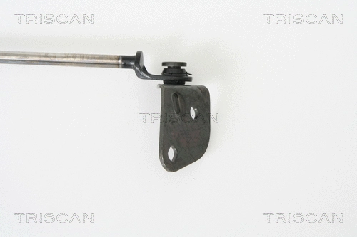 Gas Spring, boot/cargo area
