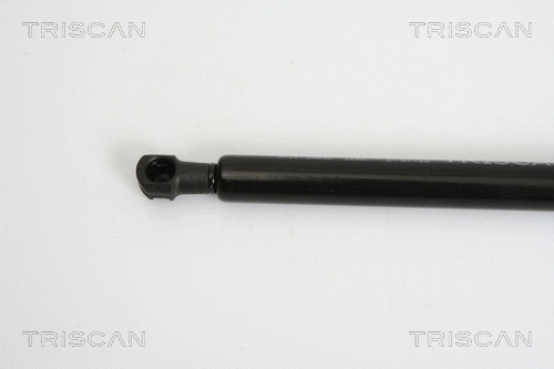 Gas Spring, rear window