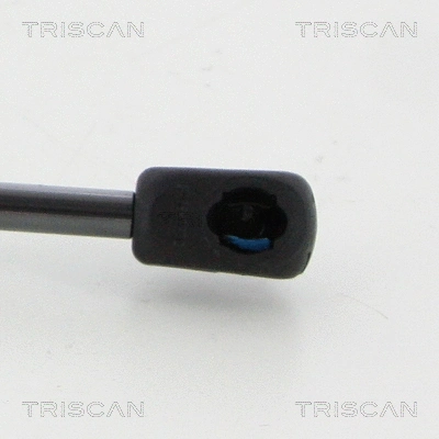 Gas Spring, boot/cargo area