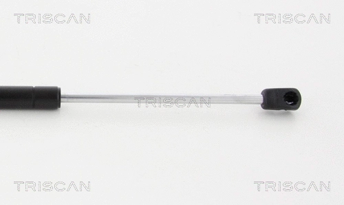 Gas Spring, rear window