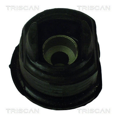 Bushing, axle beam (8500 23804)