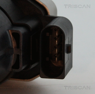 EGR Valve