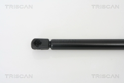 Gas Spring, boot/cargo area