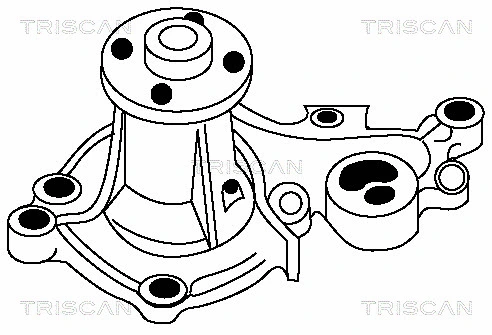 Water Pump, engine cooling (8600 69945)