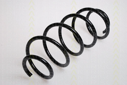 Suspension Spring (8750 16027)